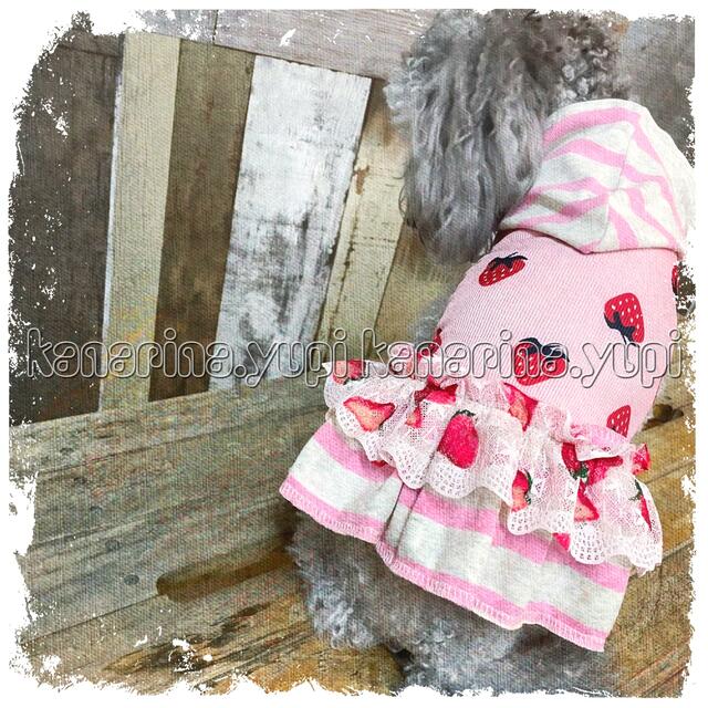 専用 ハンドメイド いちご 犬服ハンドメイド 犬服 タンクワンピース S