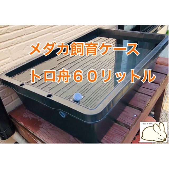 メダカ飼育ケース【トロ舟60リットル】の通販 by 工房うさぎや メダカ飼育ケース【トロ舟60リットル】の通販 by 工房うさぎや