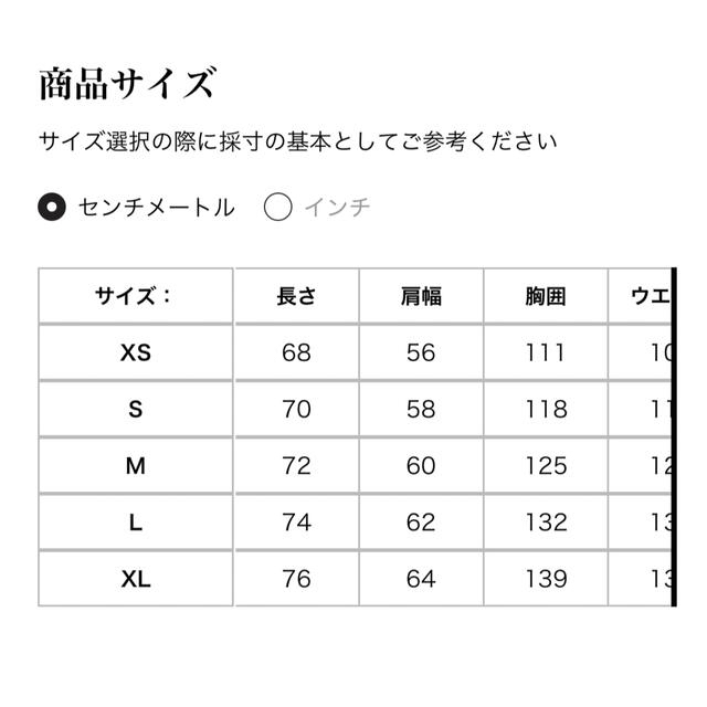 THE NORTH FACE(ザノースフェイス)のKAWS  The North Face Mountain jacket XL メンズのジャケット/アウター(マウンテンパーカー)の商品写真