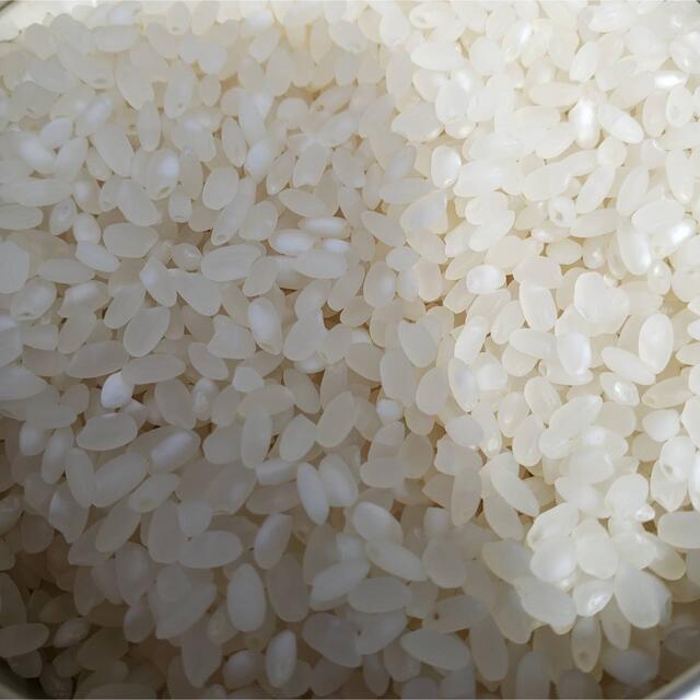 新米 北海道令和3年度産 最高品質一等米 ゆめぴりか 10キロの通販 by ...