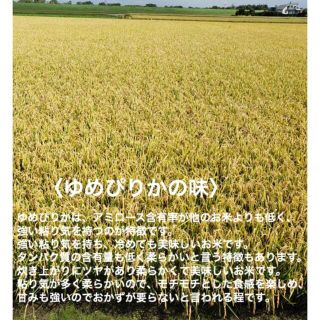 新米　北海道令和3年度産　最高品質一等米　ゆめぴりか　20キロ（10キロ×2）