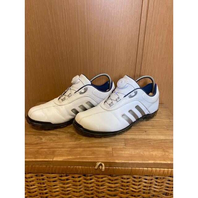 adidas(アディダス)のアディダスゴルフシューズ 26cm スポーツ/アウトドアのゴルフ(シューズ)の商品写真