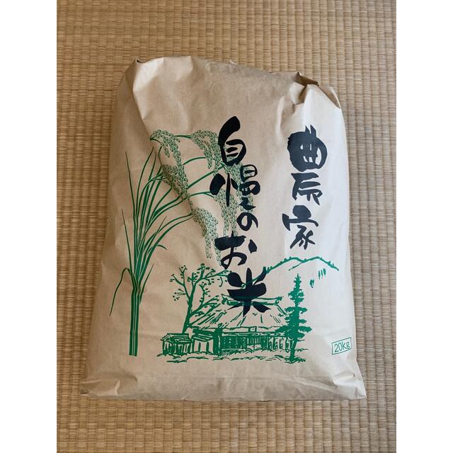 令和3年 兵庫県 淡路島産 キヌヒカリ 玄米20kg[精米無料] 米+穀物