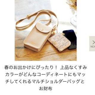 タカラジマシャ(宝島社)の新品未使用⭐︎リンネル4月号　スリム財布＆マルチショルダーバック(ショルダーバッグ)