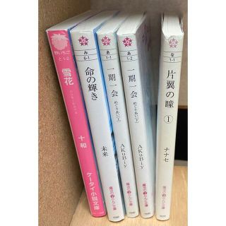 小さいサイズ　恋愛携帯小説　まとめ売り(文学/小説)