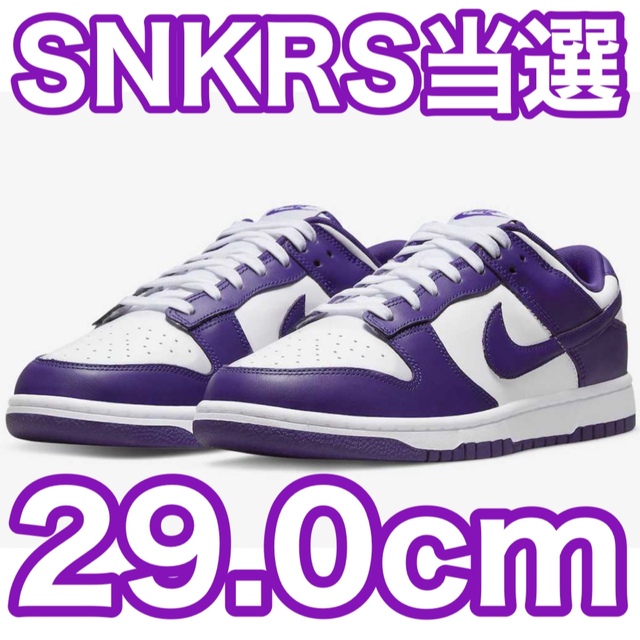 NIKE(ナイキ)のNike Dunk Low Championship Court Purple メンズの靴/シューズ(スニーカー)の商品写真