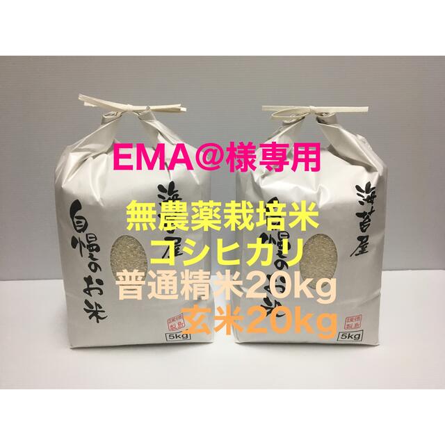 EMA@様専用 無農薬コシヒカリ普通精米20kg、玄米20kg 合計40kg 【在庫処分大特価!!】