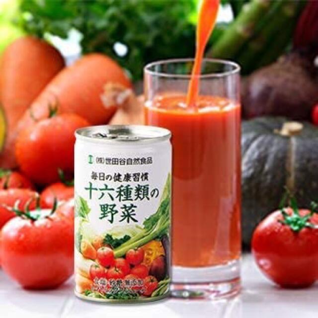 世田谷自然食品  十六種類の野菜ジュース  30本セット