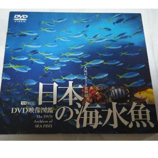 日本の海水魚　DVD映像図鑑 DVD(趣味/実用)