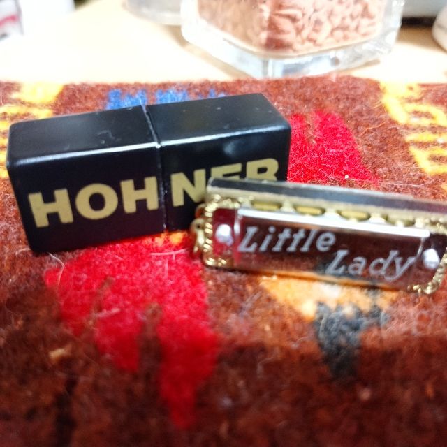 HOHNER🎶Little Lady🎼ケース付きミニハーモニカ 楽器の楽器 その他(ハーモニカ/ブルースハープ)の商品写真