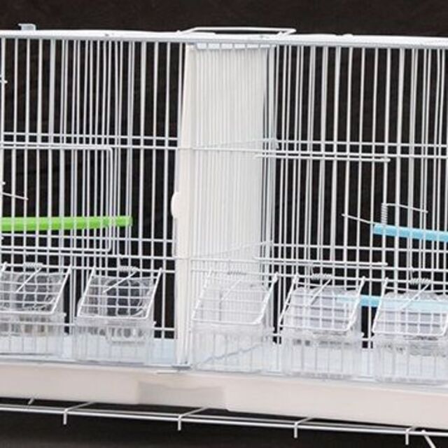 2部屋 ツイン鳥かご スクエアタイプ【鳥小屋 鳥カゴ 鳥 ゲージ ケージ】