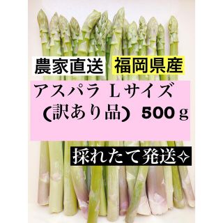 アスパラガス Lサイズ(訳あり品)即購入OKです(野菜)