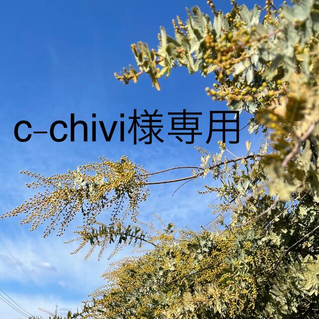 ♪c-chivi様専用♪ 57  ミランドール　8分咲き　1箱 ハンドメイドのフラワー/ガーデン(その他)の商品写真