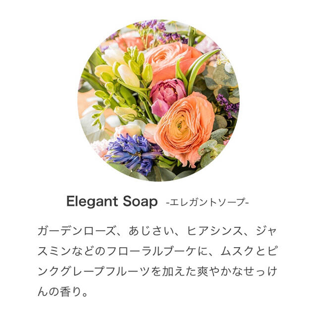 ✳︎✳︎elegant soap エレガントソープ 25ml✳︎Prolitec コスメ/美容のリラクゼーション(アロマオイル)の商品写真