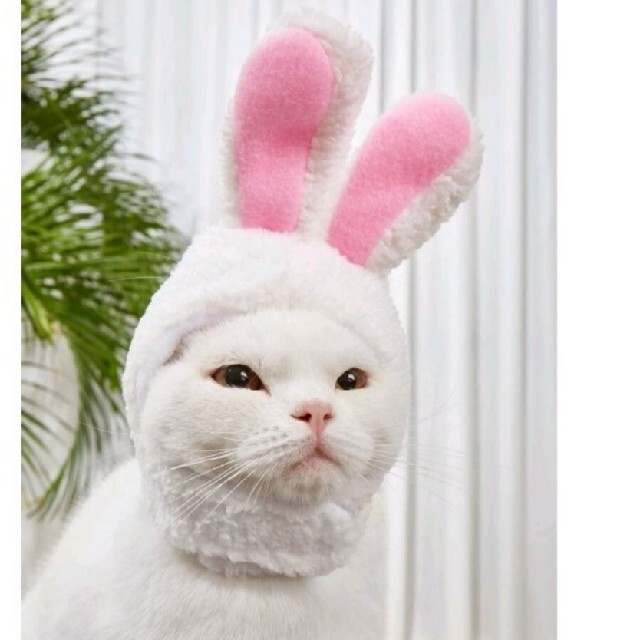 新品 コスプレ 仮装 被り物 猫 ねこ 犬 いぬ ウサギかぶりもの うさぎ 帽子の通販 By やまもと S Shop ラクマ