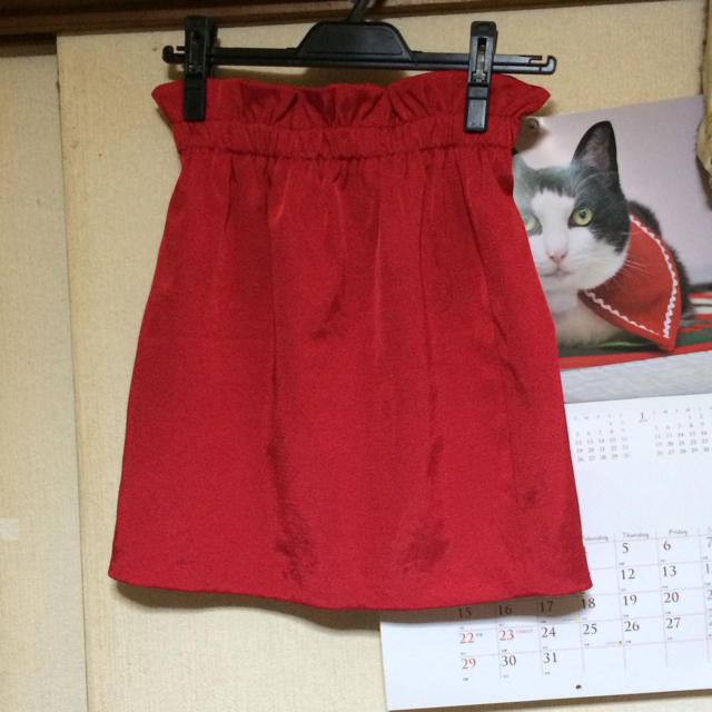 Lily Brown(リリーブラウン)のAラインスカート♡ レディースのスカート(ミニスカート)の商品写真