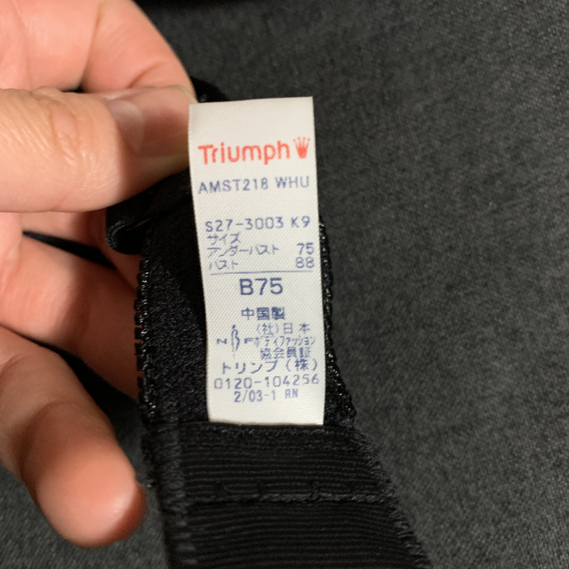 Triumph(トリンプ)のブラジャー　ショーツ　セット　CreamSodaさん専用 レディースの下着/アンダーウェア(ブラ&ショーツセット)の商品写真