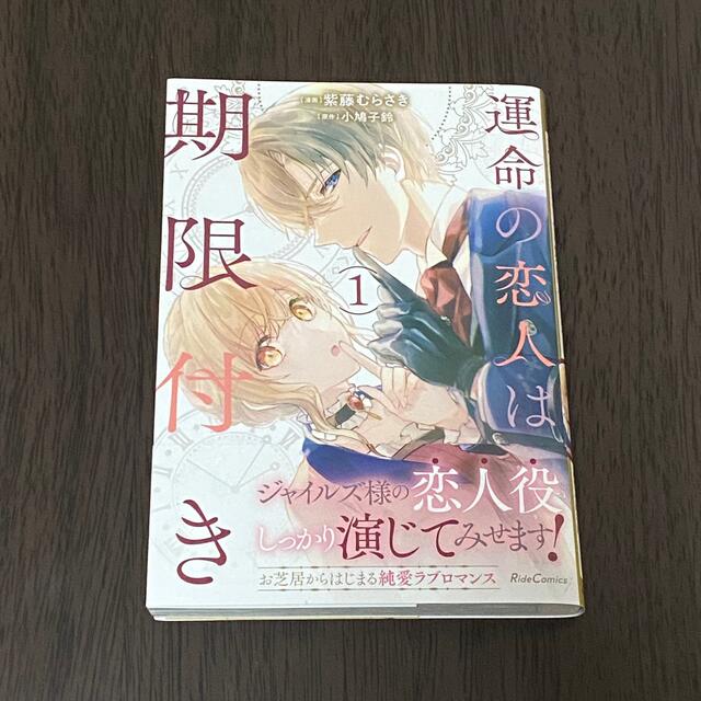 運命の恋人は期限付き 1巻／紫藤むらさき.小鳩子鈴 エンタメ/ホビーの本(その他)の商品写真