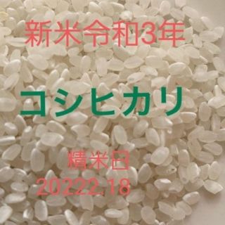 最後　令和３年度新米　コシヒカリ約3合(米/穀物)