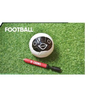 チャムス(CHUMS)のチャムス　非売品　サッカーボール(ボール)