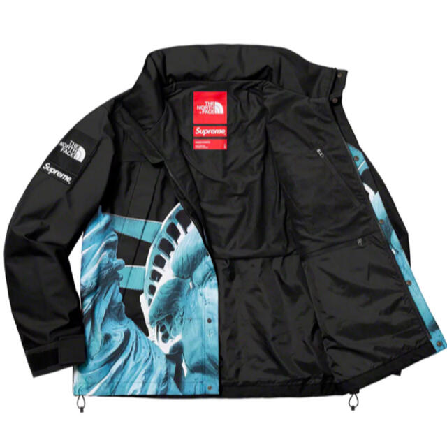 Supreme - シュプリーム ザ ノース フェイス 自由の女神 マウンテン
