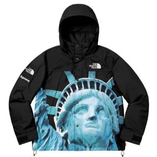 国内 M Supreme North Face パーカー 自由の女神