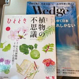 雑誌　Wedge   ウェッジ　2022年3月号    ひととき(ビジネス/経済/投資)