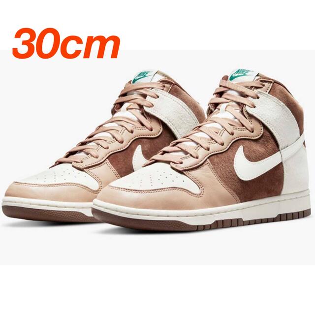 【希少サイズ】Nike Dunk High PRM