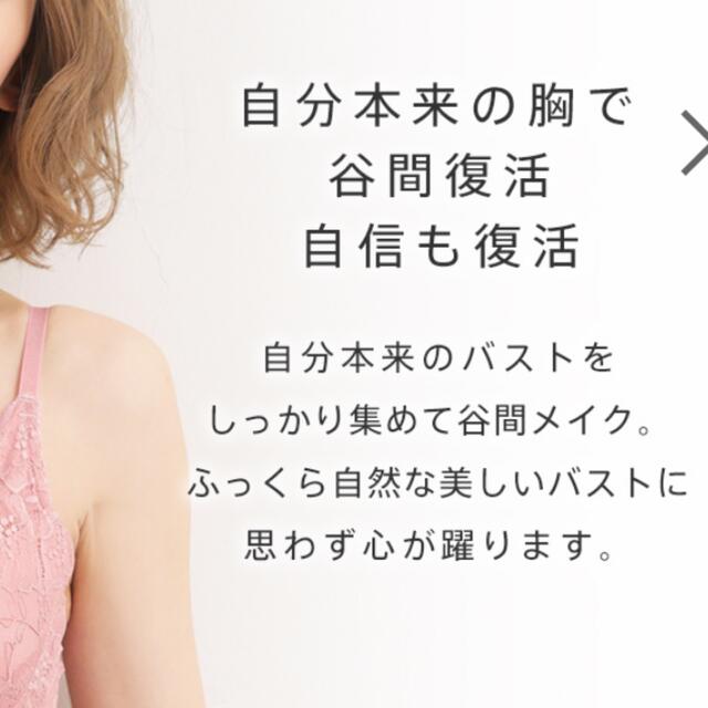 aimer feel(エメフィール)のaimerfeel カシュクールレース脇高ブラ(R) レディースの下着/アンダーウェア(ブラ)の商品写真