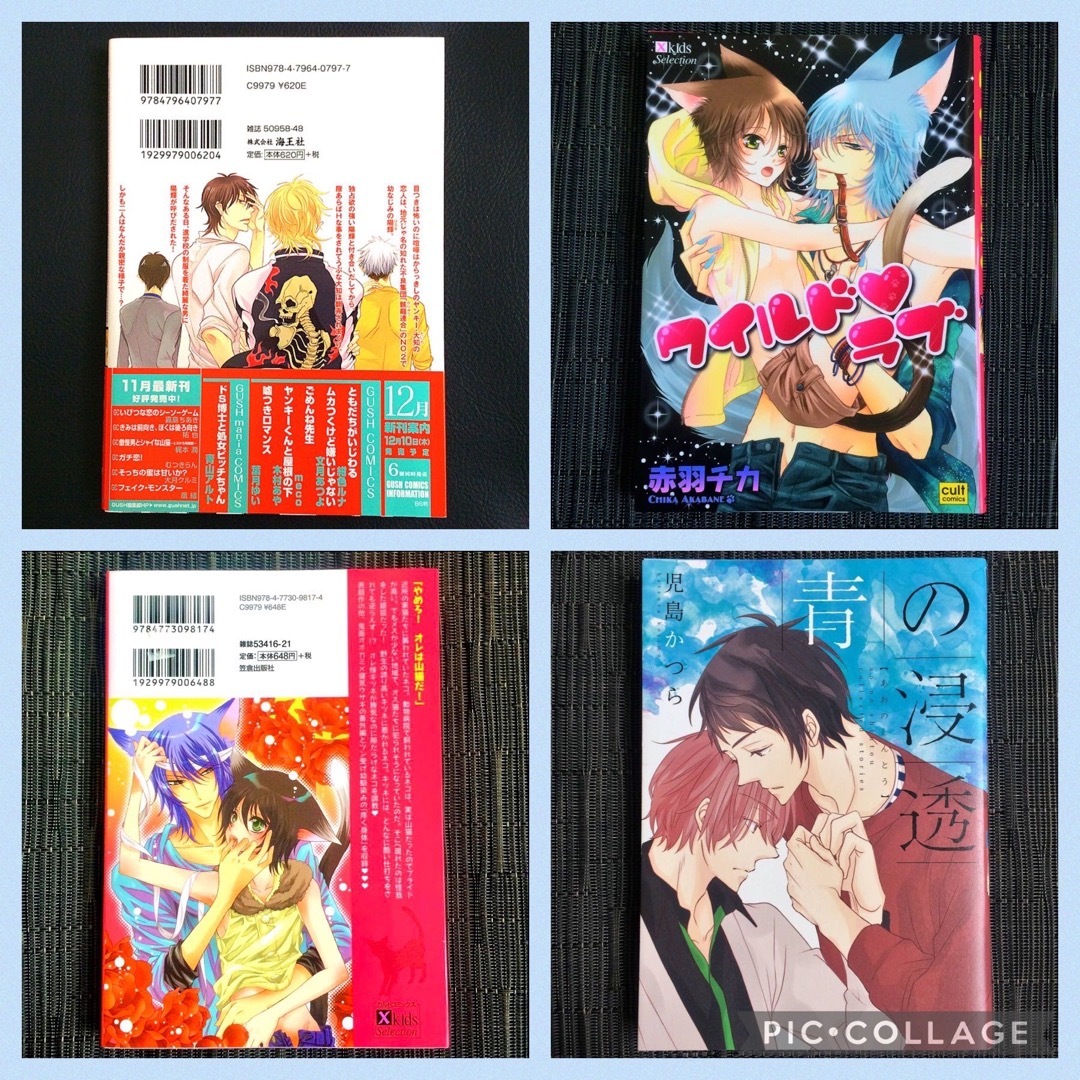 BLコミック 11冊まとめ売り 大量 少女漫画 セット販売