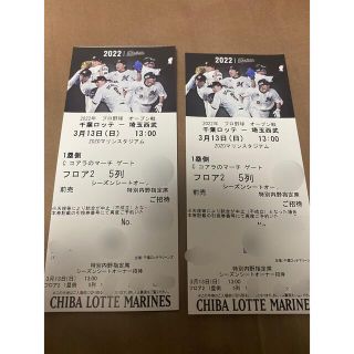 チバロッテマリーンズ(千葉ロッテマリーンズ)のプロ野球 千葉ロッテマリーンズ対西武ライオンズ オープン戦 3月13日 ペア(野球)