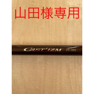 ダイワ(DAIWA)のダイワ　キャスティズム25-385•W(ロッド)