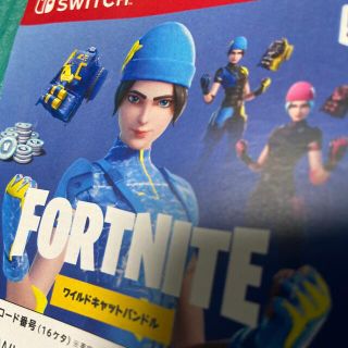 Switch フォートナイト  ワイルドキャットバンドルの特典コードのチラシ(その他)