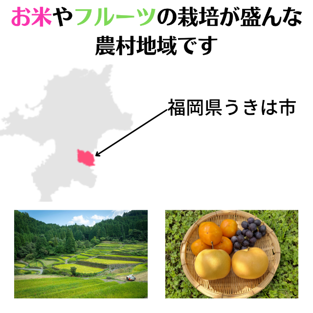 【数量限定！】食べたら心がホッコリ♪するお米「ホッコリ米」 食品/飲料/酒の食品(米/穀物)の商品写真