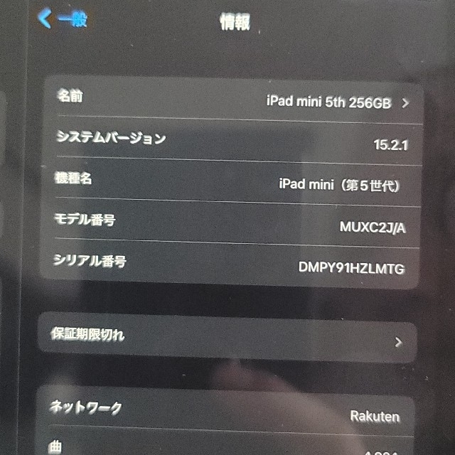 【専用】ipad mini 5 cellular 256GB SIMﾛｯｸﾌﾘｰ