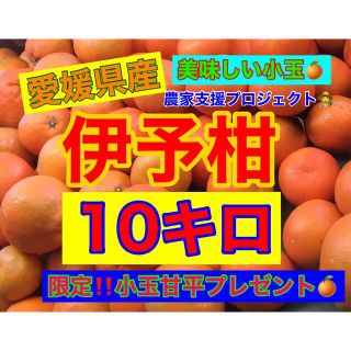 伊予柑小玉10キロ 甘平つき！(フルーツ)