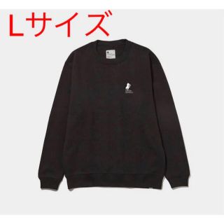 INN THUNDERBOLT PROJECT ヒトカゲ SWEATSHIRT(その他)