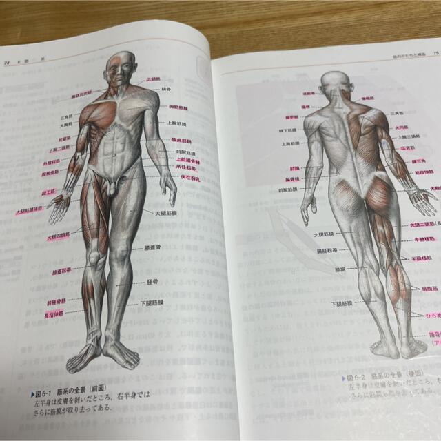 by　ちぃ's　改訂第５版の通販　入門人体解剖学　shop｜ラクマ