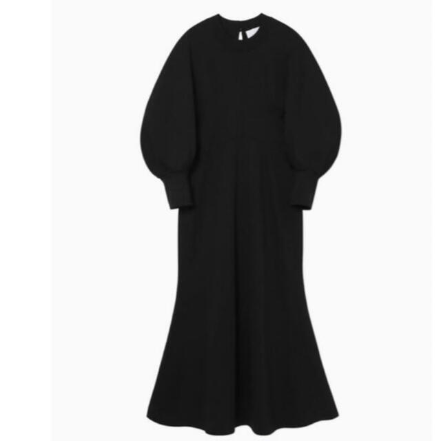 mame(マメ)のマメクロゴウチ　Classic Cotton Dress - black レディースのワンピース(ロングワンピース/マキシワンピース)の商品写真