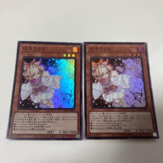 ユウギオウ(遊戯王)の遊戯王 灰流うらら スーパーレア 2枚 バラ不可(シングルカード)