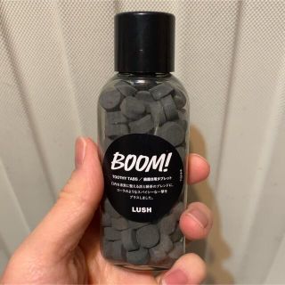 ラッシュ(LUSH)のLUSH ブーム(歯磨き粉)