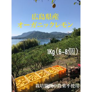 食べるレモンです〜オーガニック(フルーツ)