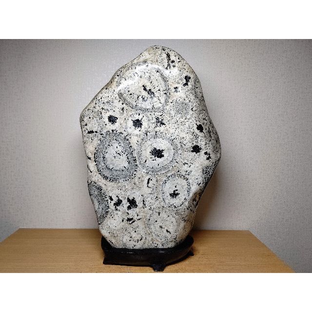 ナポレオン石 15.4kg 時計石 球状閃緑岩 原石 鑑賞石 自然石 紋石 水石