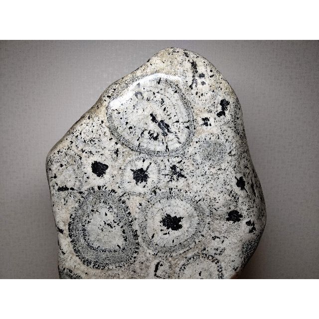 ナポレオン石 4kg 時計石 球状閃緑岩 原石 鑑賞石 自然石 紋石 水石