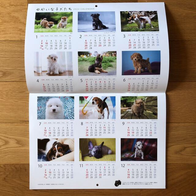 SONY(ソニー)のゆかいな子犬たち 2022 CALENDAR ソニー生命 カレンダー インテリア/住まい/日用品の文房具(カレンダー/スケジュール)の商品写真