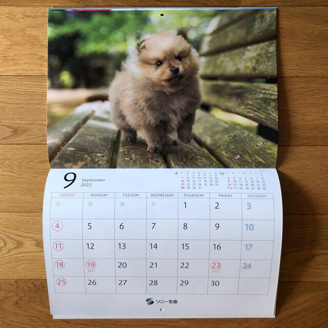 SONY(ソニー)のゆかいな子犬たち 2022 CALENDAR ソニー生命 カレンダー インテリア/住まい/日用品の文房具(カレンダー/スケジュール)の商品写真