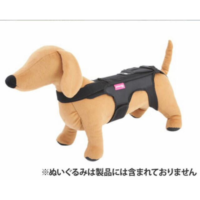 コムペット　ホロノアサポーター　Mサイズ その他のペット用品(犬)の商品写真