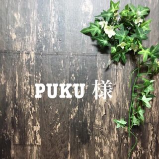 PUKUさん♡(その他)