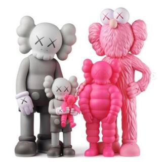 KAWS FAMILY GREY PINK FLUORO PINK(その他)