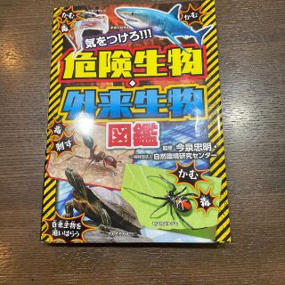 気をつけろ！！！危険生物・外来生物図鑑(絵本/児童書)